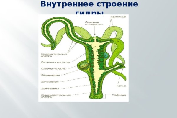 Сайт кракен закрыли