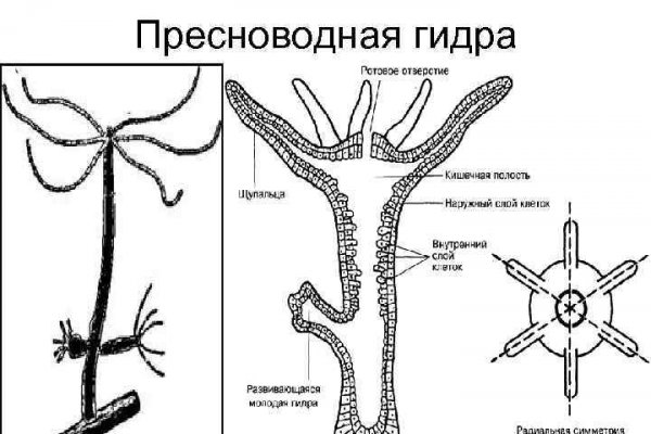 Кракен нар шоп